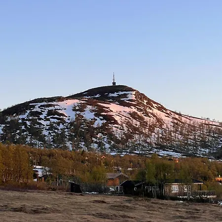Traditional Log At Vierli Nyaraló