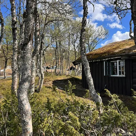 Traditional Log At Vierli בית נופש Rauland