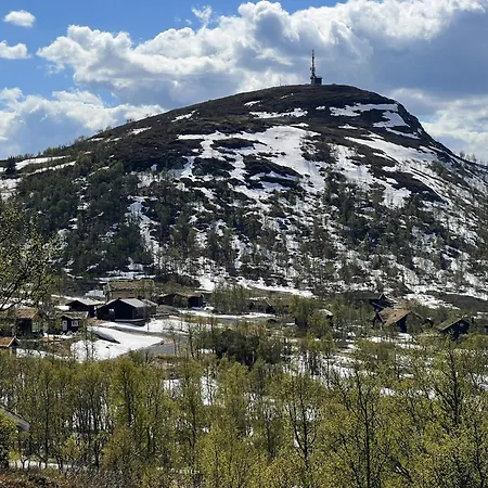 Nyaraló Traditional Log At Vierli Rauland