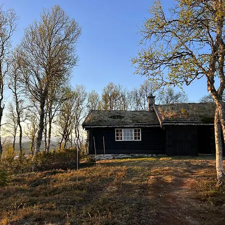 Traditional Log At Vierli * Rauland