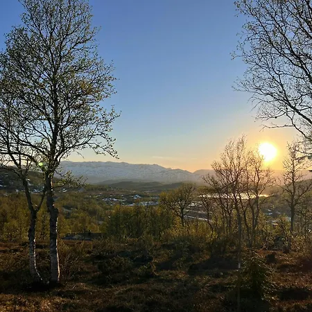 Traditional Log At Vierli