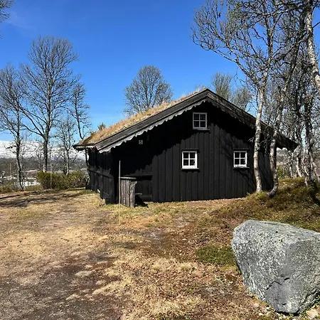 Traditional Log At Vierli * Rauland