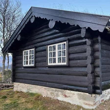度假居 Traditional Log At Vierli Rauland