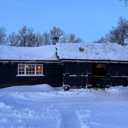 Traditional Log At Vierli