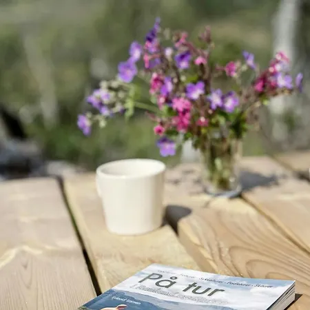 Traditional Log At Vierli *