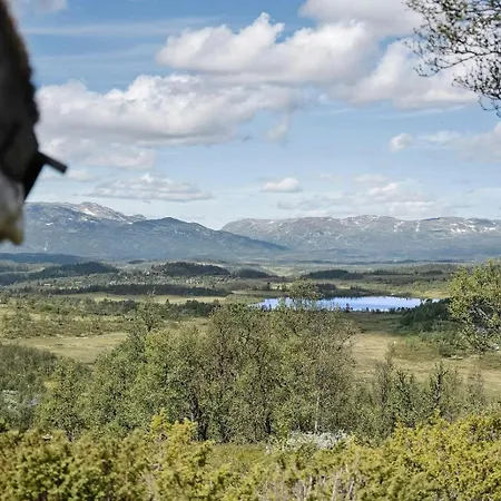 Traditional Log At Vierli * Rauland