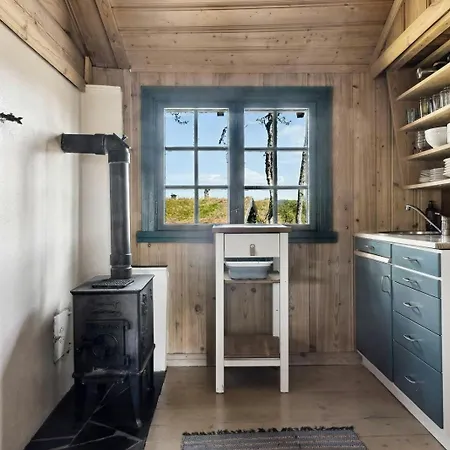 Traditional Log At Vierli Rauland