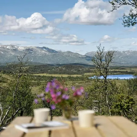 Traditional Log At Vierli Nyaraló *