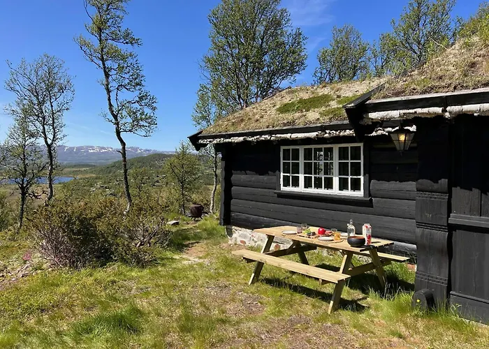 Traditional Log At Vierli Feriehus *