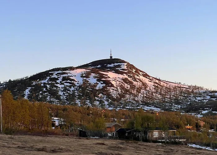 Traditional Log At Vierli Feriehus
