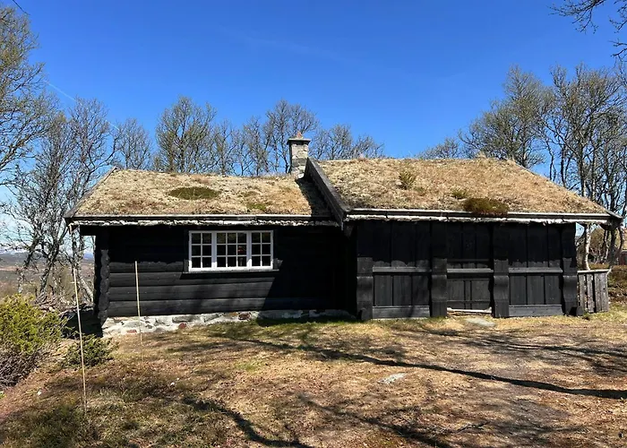 Traditional Log At Vierli Feriehus