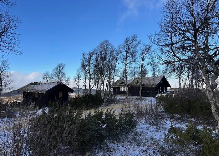 Traditional Log At Vierli Feriehus