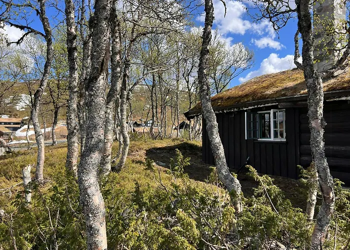 Traditional Log At Vierli Feriehus Rauland