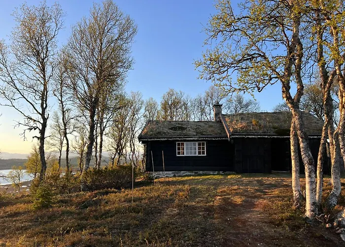 Traditional Log At Vierli * Rauland