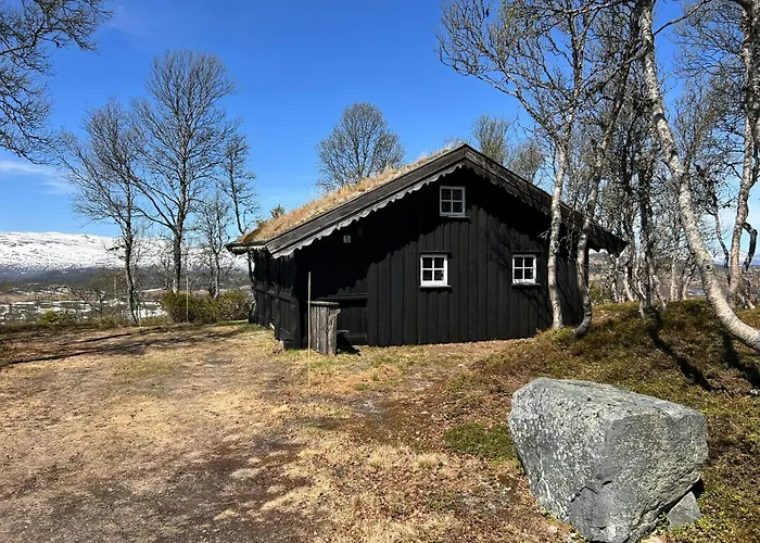 Traditional Log At Vierli * Rauland