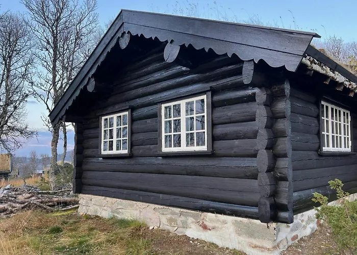 Feriehus Traditional Log At Vierli Rauland