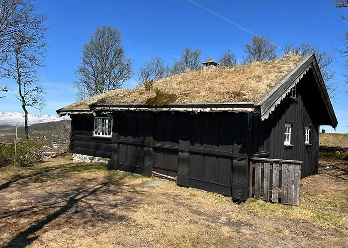 Traditional Log At Vierli *